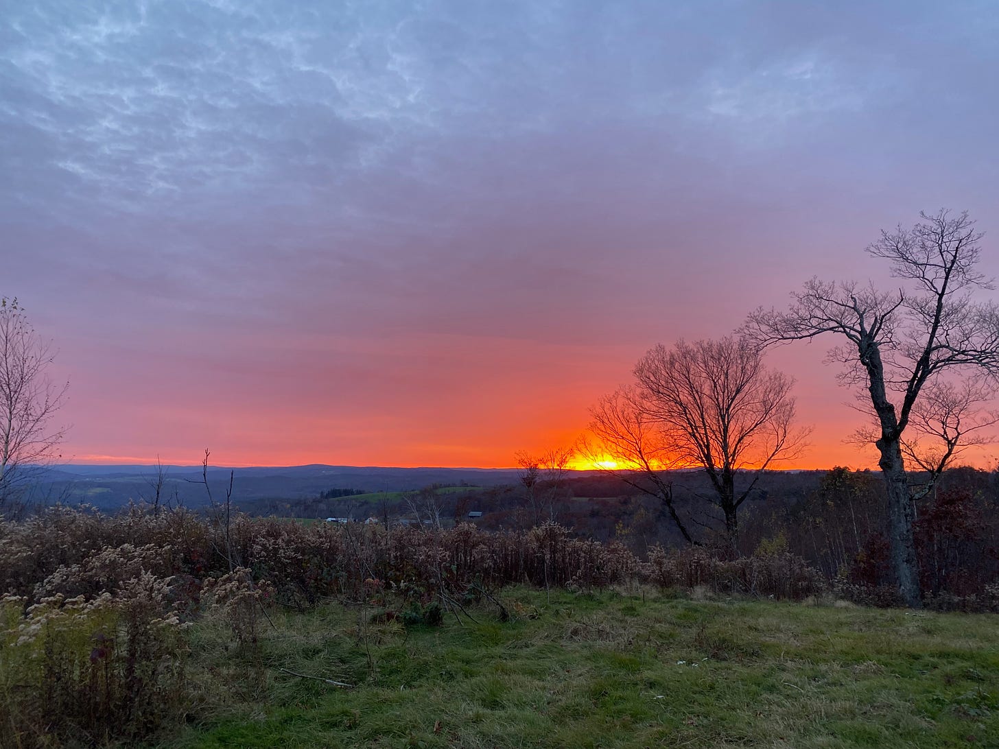 View of a brilliant sunset from a ridgetop. The sky is red, pink, and purple, the sun a golden orb low on the horizon. Two bare black trees are silhouetted against the sky.