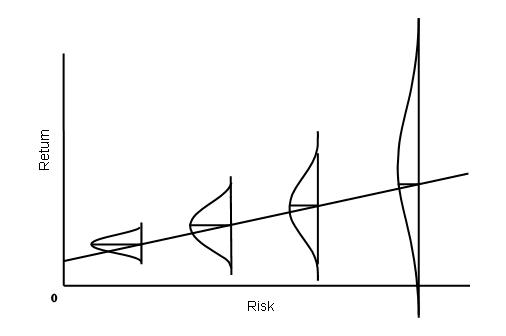 return risk