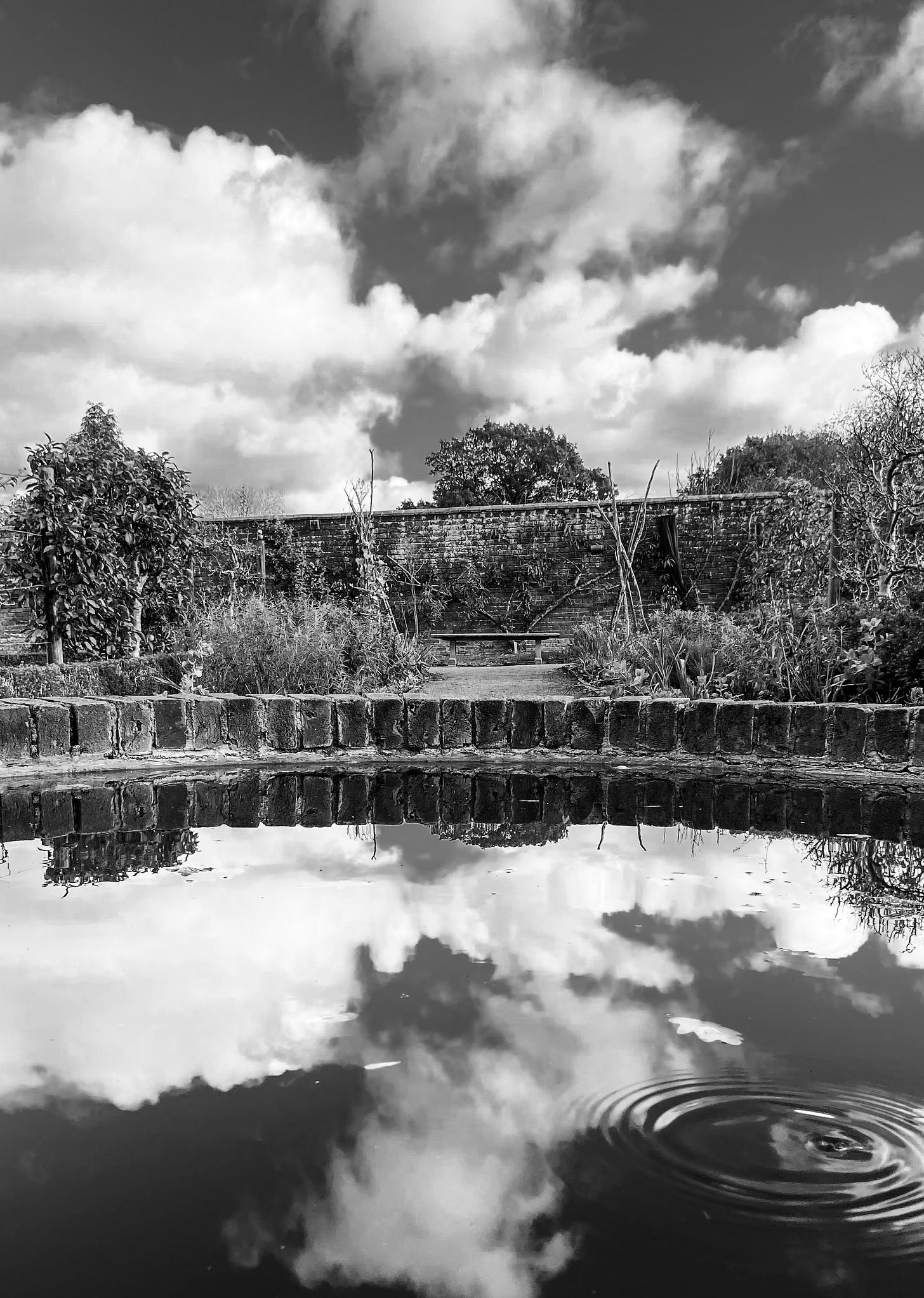 Sky reflected in a clear dipping pond in a walled garden, with productive borders beyond.
