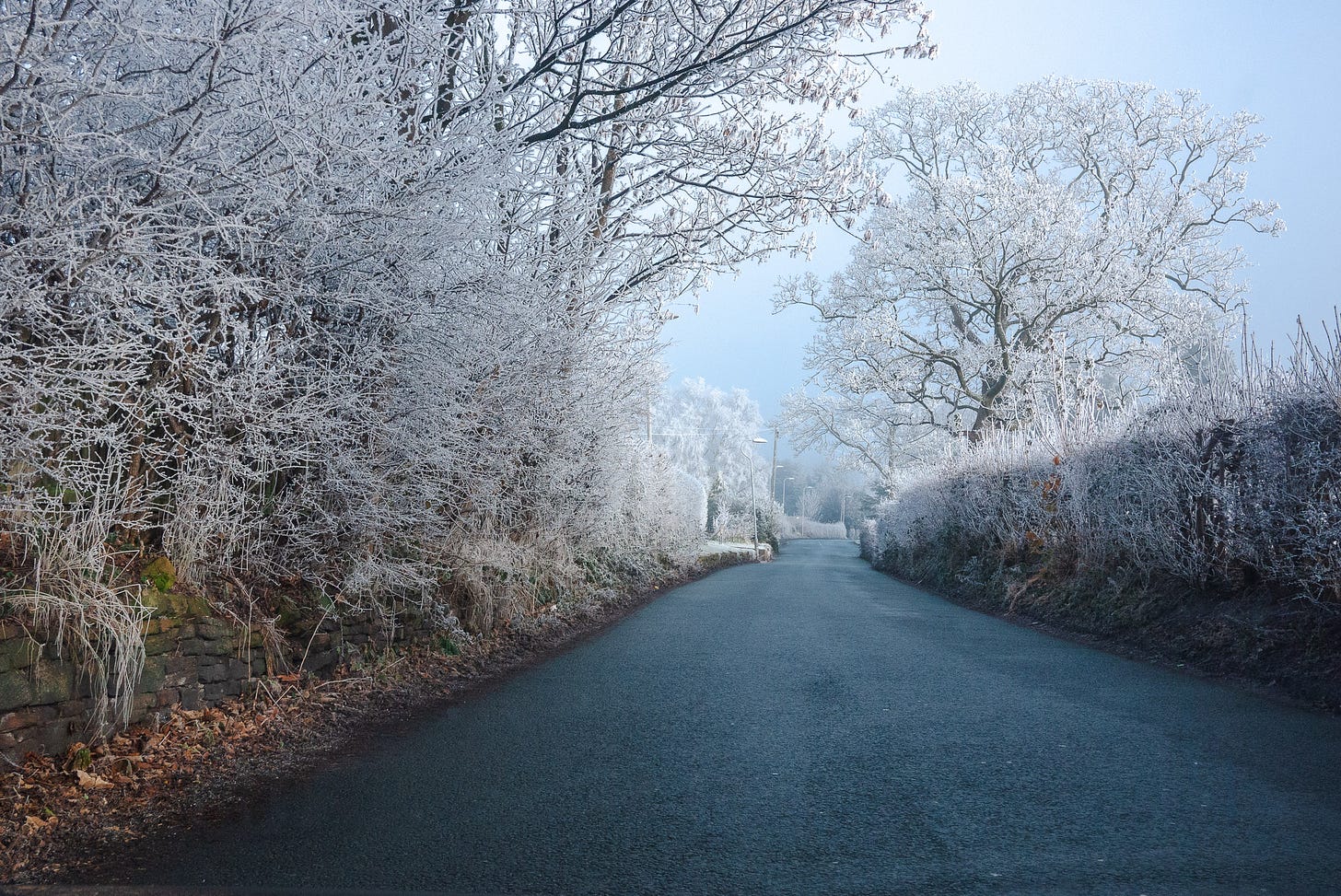 An empty road where all the trees and bushes are covered in icy frost.