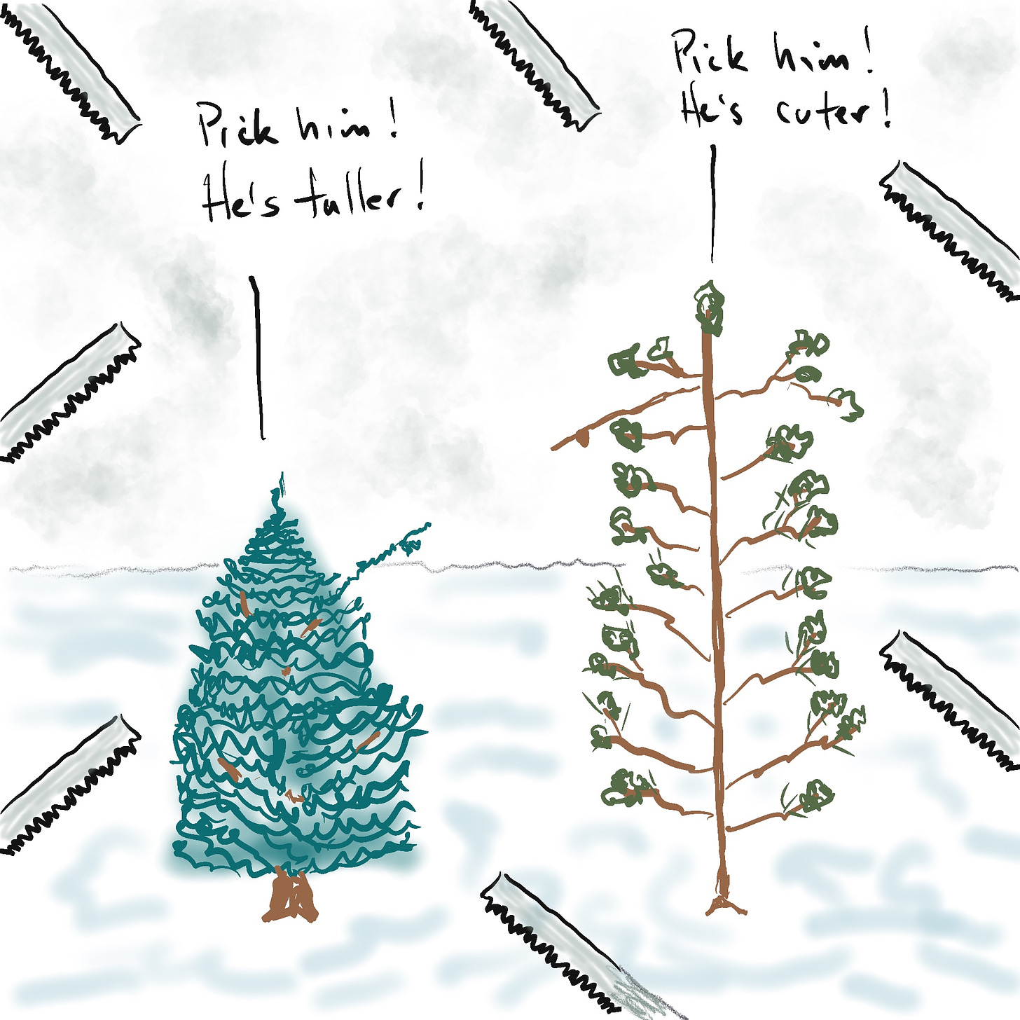 christmas trees argue who should be cut first