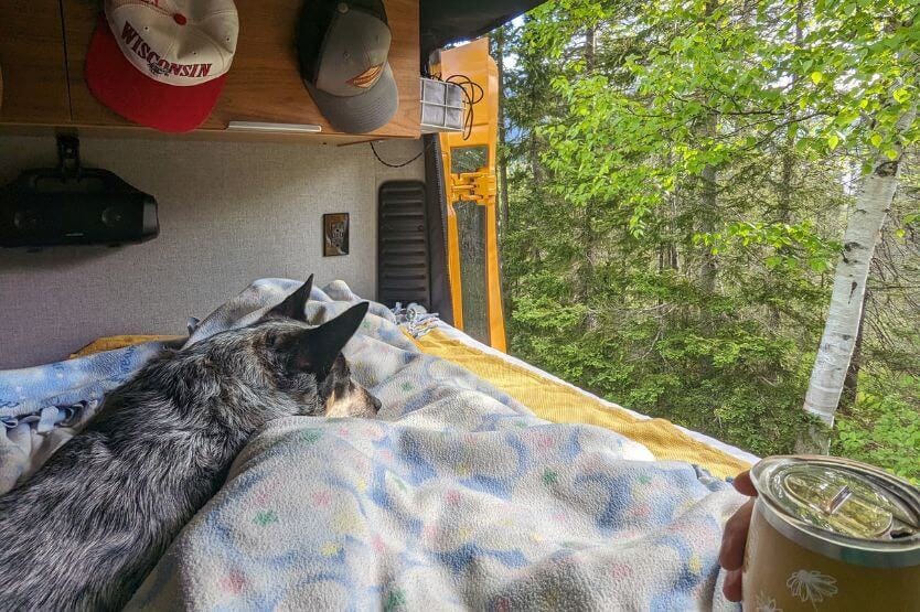 Scout the blue heeler lies across our laps in the back bed of our van, with a view of green forest out the open doors