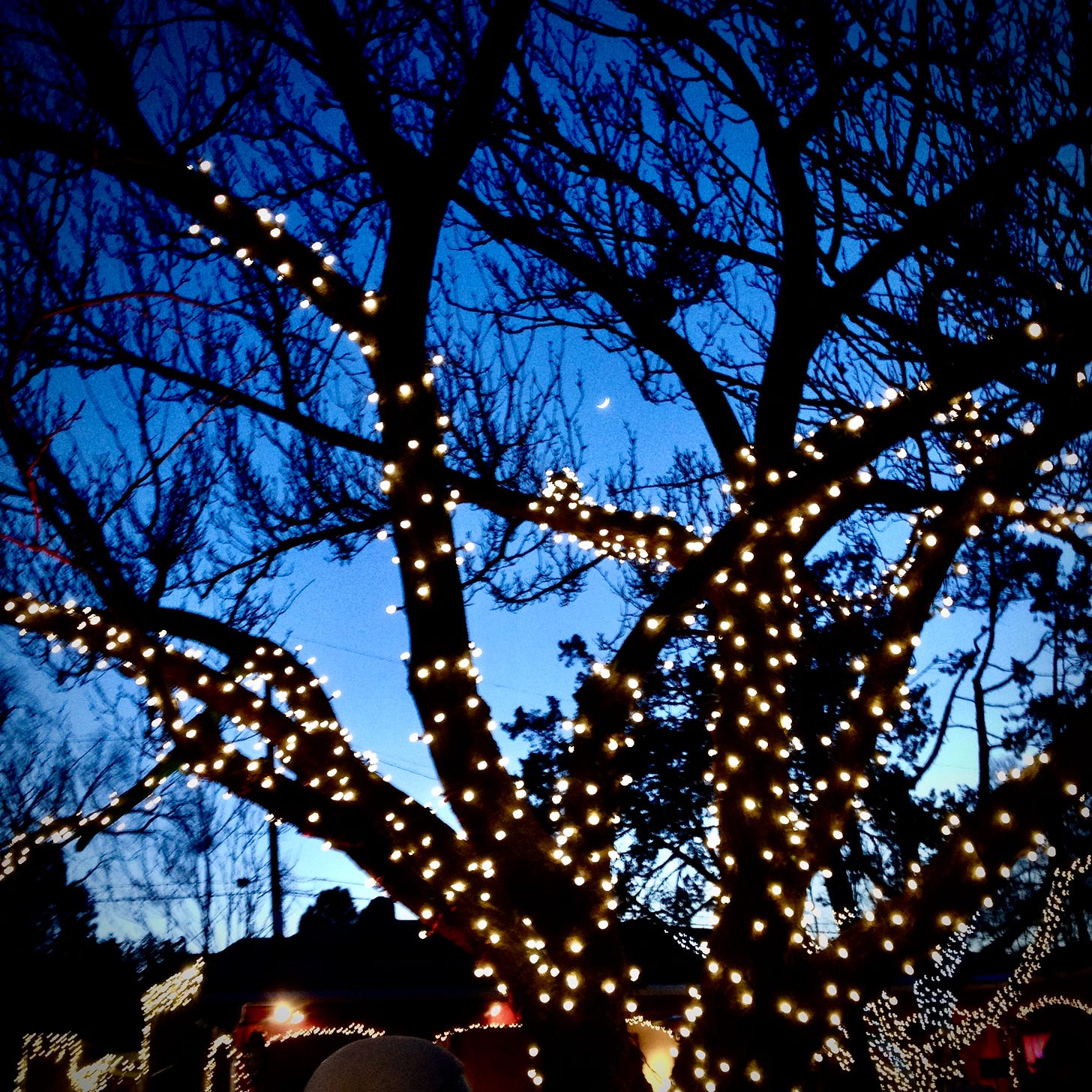 Santa Fe, Yule 2014