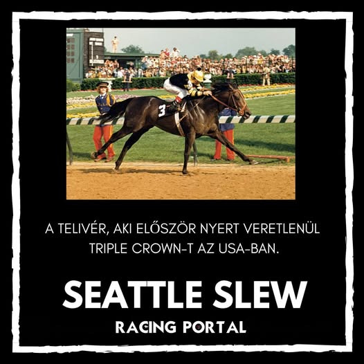 Lehet, hogy egy kép erről: 3 ember és , szöveg, amely így szól: „A TELIVÉR, AKI ELŐSZÖR NYERT VERETLENÜL TRIPLE CROWN-T AZ USA-BAN. SEATTLE SLEW RACING PORTAL”