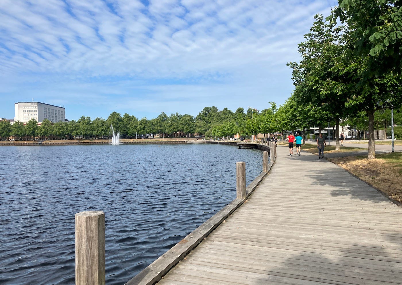 The boardwalk, South of the lake