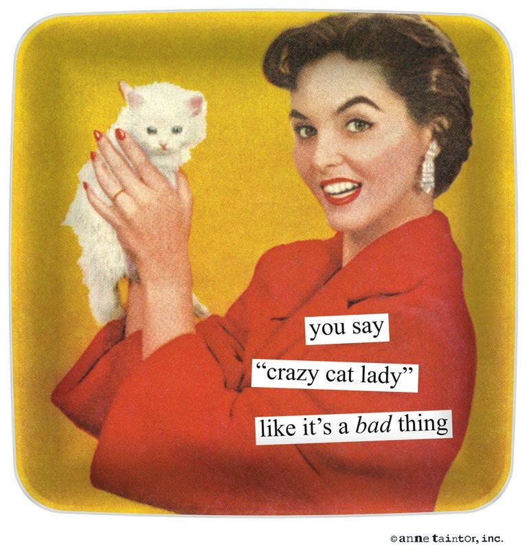 you say "crazy cat lady" like it's a bad thing | Crazy cat lady, Crazy ...
