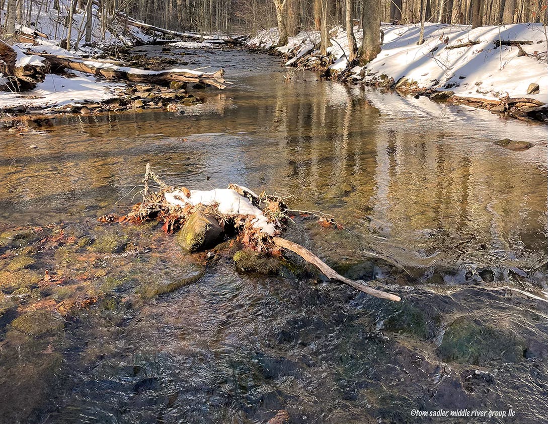 a mountain stream with snow on the banks