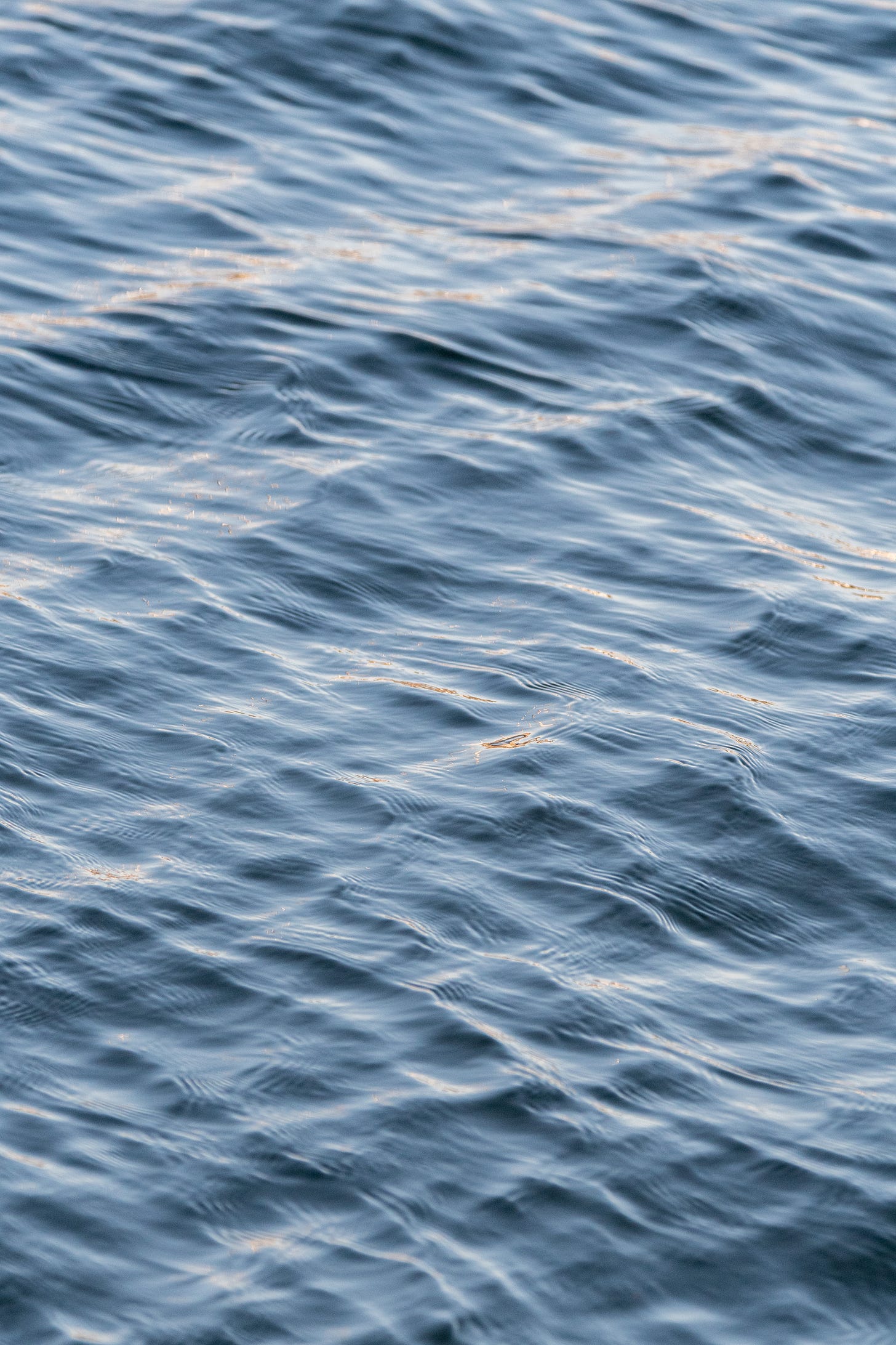 A photograph of ocean water, greenish, crossed by soft, tessellated ripples