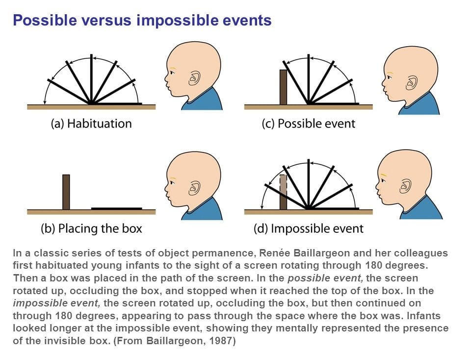 violation of expectation task with possible and impossible events