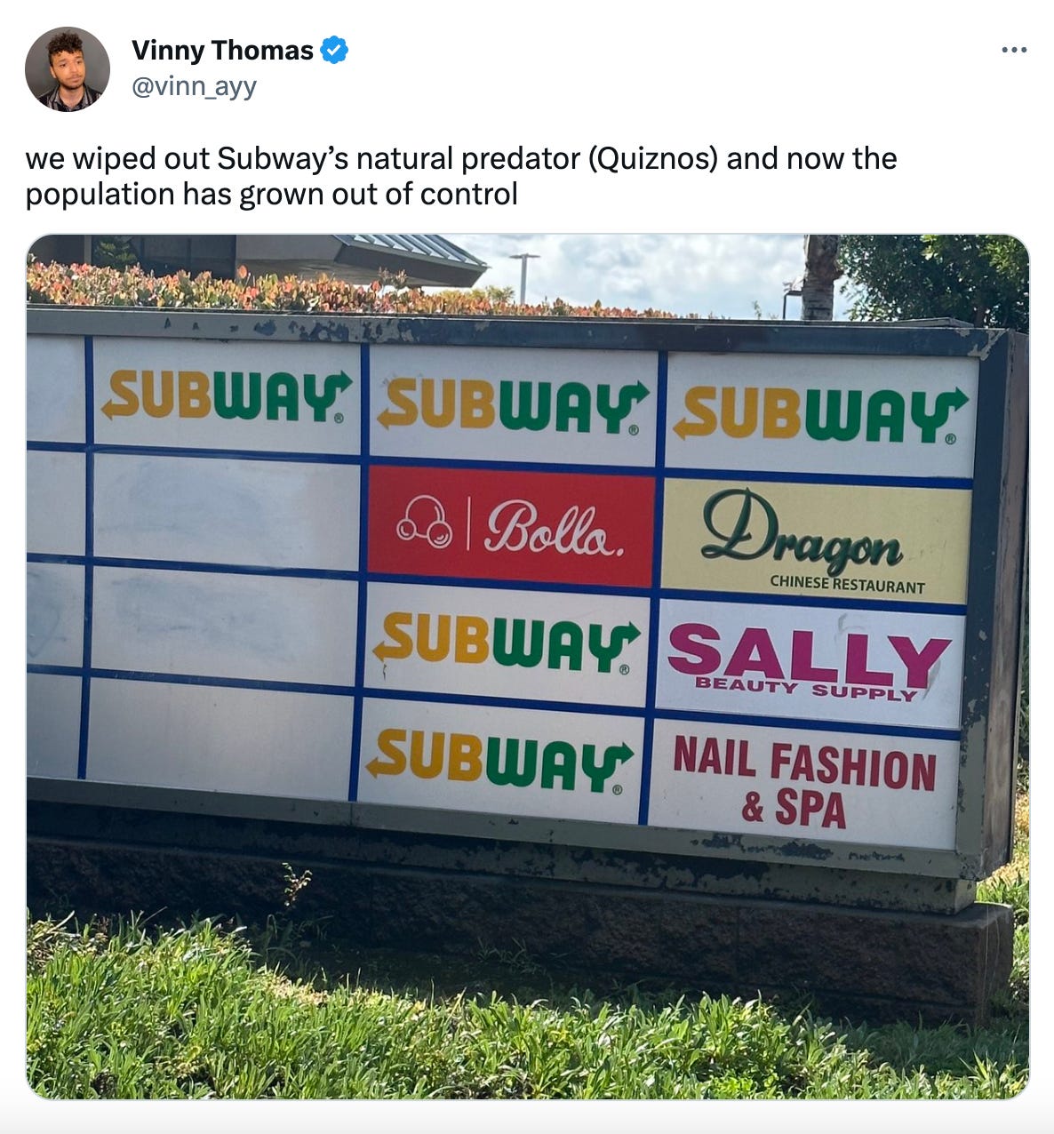 A Tweet from Vinny Thomas (@vinn_ayy) that says "we wiped out Subway's natural predator (Quizno's) and now the population has grown out of control" and features a picture of a sign in front of a strip mall with like 5 Subways on it