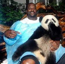Shaquille O' Neal - This baby panda was laughing at my jokes. | Facebook