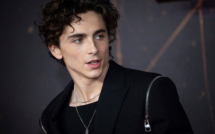 Quem é Timothée Chalamet, o novo queridinho de Hollywood