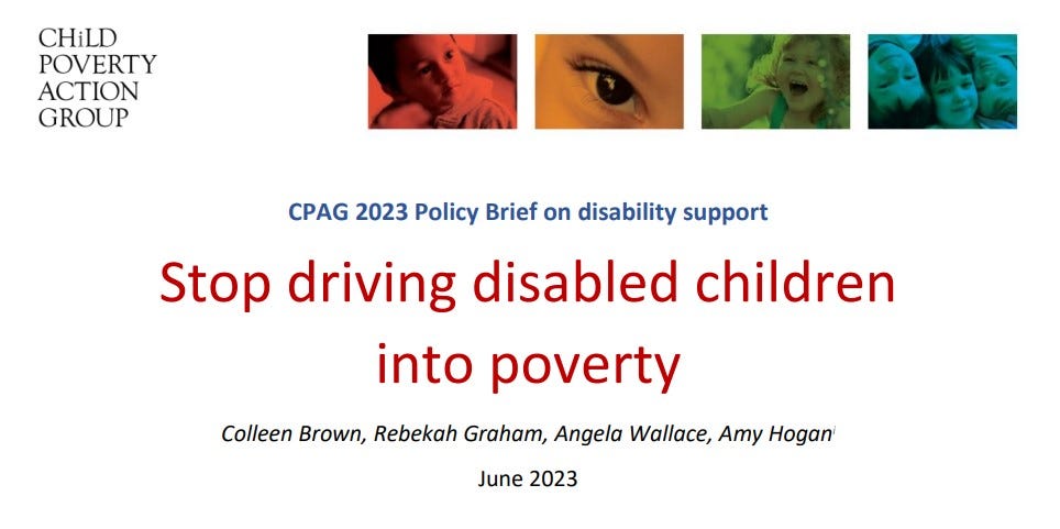 screenshot of title page of disability support policy brief