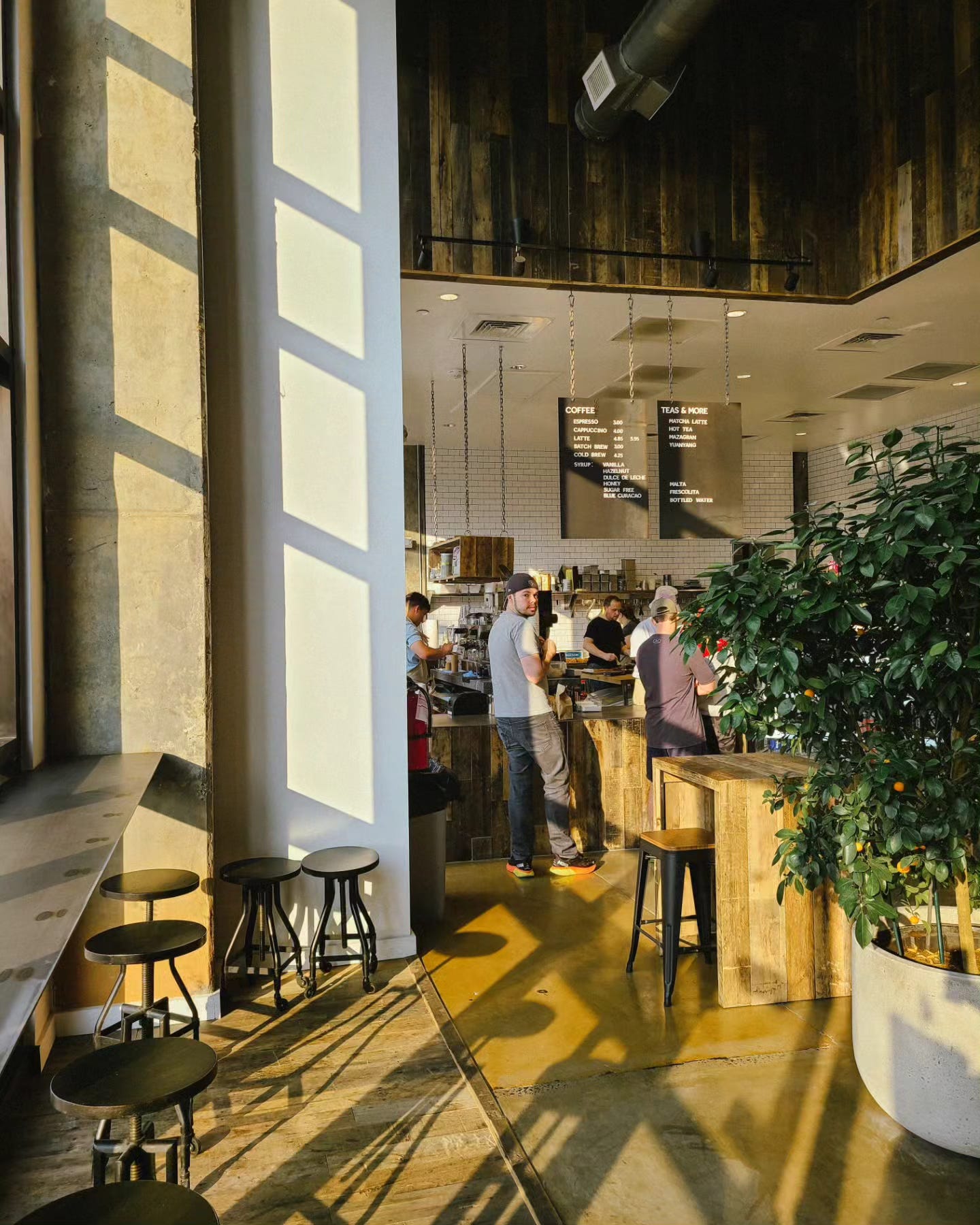 Vicente interior + front counter