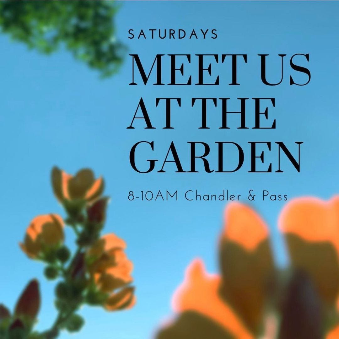 May be an image of flower, outdoors and text that says 'SATURDAYS MEET US ATTHE GARDEN 8-10AM Chandler & Pass'