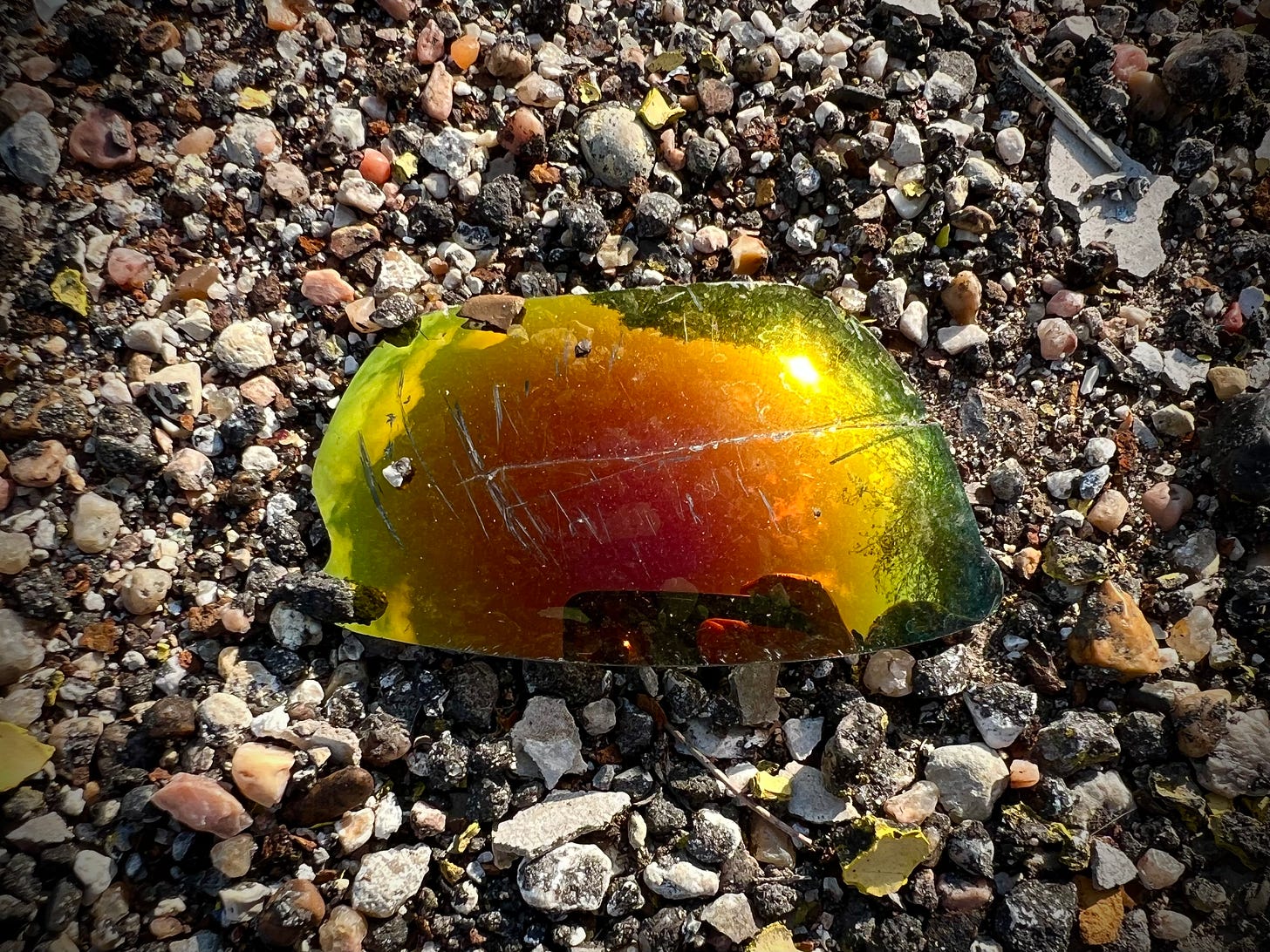 Polarized sunglass lens on pavement, with reflection of intense morning sun