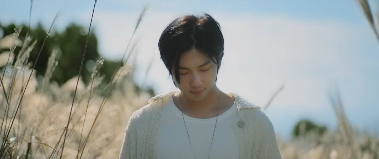 RM's Wild Flower: Music Video, Lyrics in English, Meaning | POPSUGAR  Entertainment