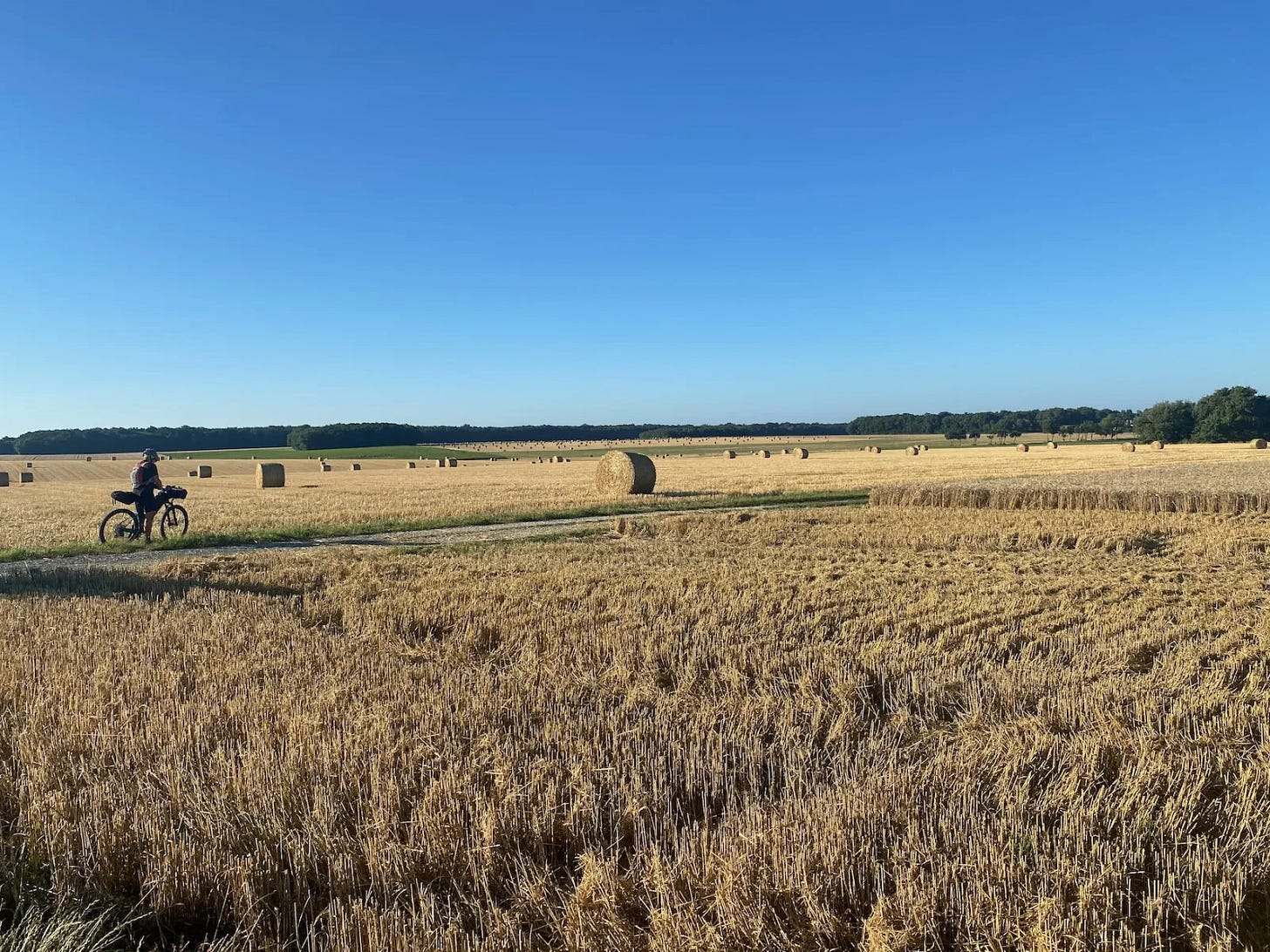Dans les champs Dans les champs