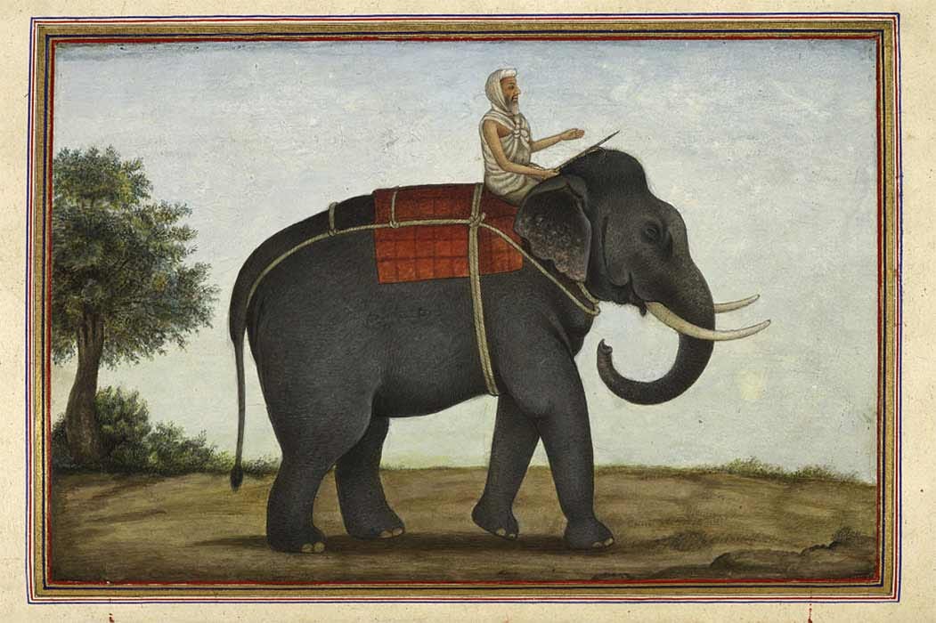 An image of the elephant keeper in India riding his elephant from Tashrih al-aqvam (1825).