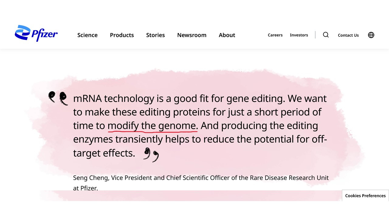 Pfizer says: mRNA technology is a good fit for gene editing. We want to make these editing proteins for just a short period of time to modify the genome. And producing the editing enzymes transiently helps to reduce the potential for off-target effects.