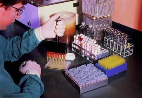 Microbiologist Performing Elisa Test Photograph by Simon Fraser/science ...