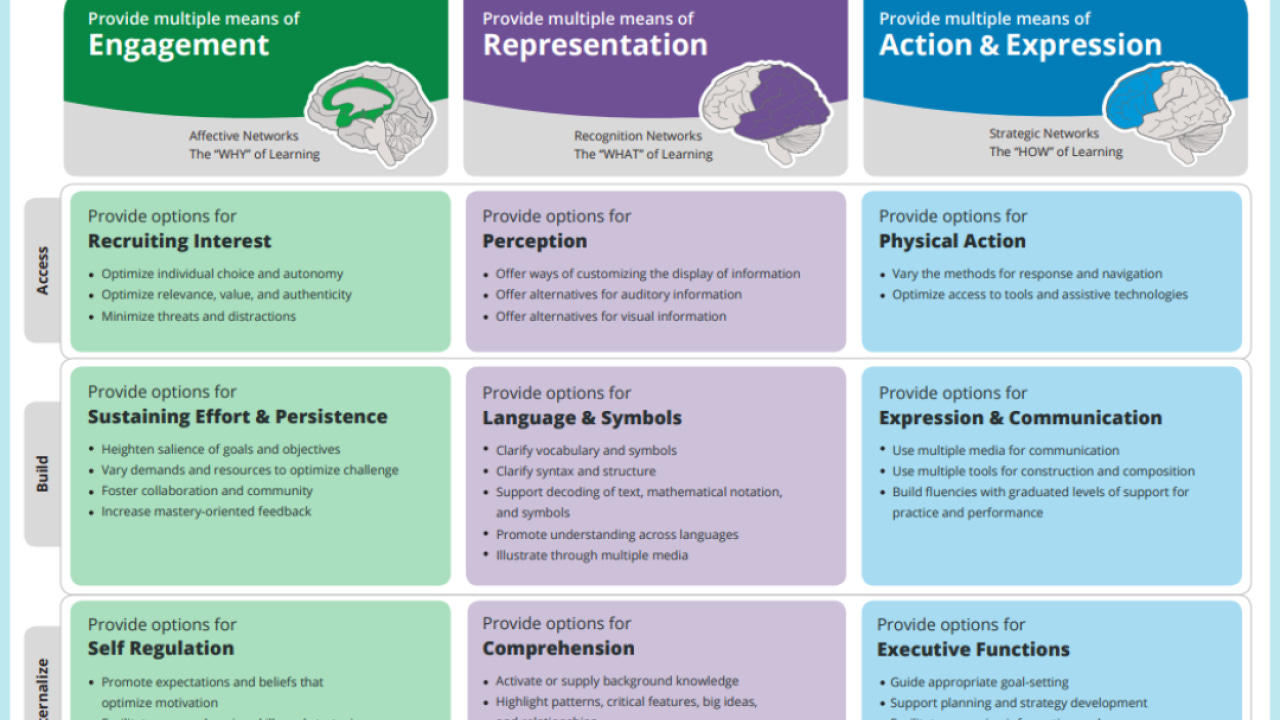 Universal Design for Learning | California History-Social Science Project