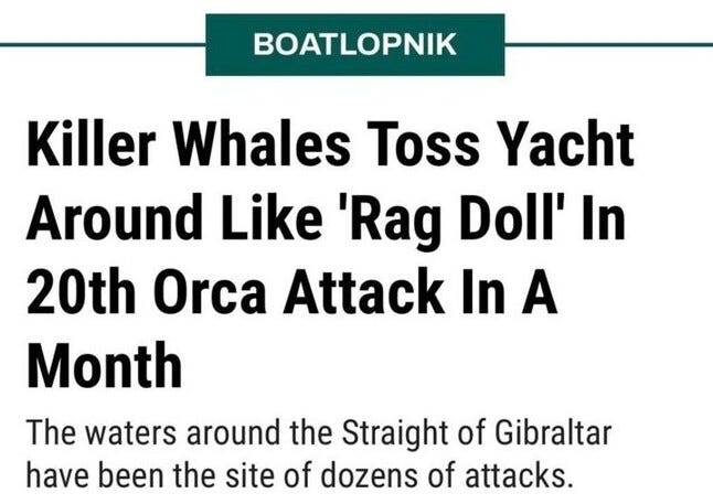 News article:
Killer whales toss yacht around like rag doll in 20th orca attack in. Month