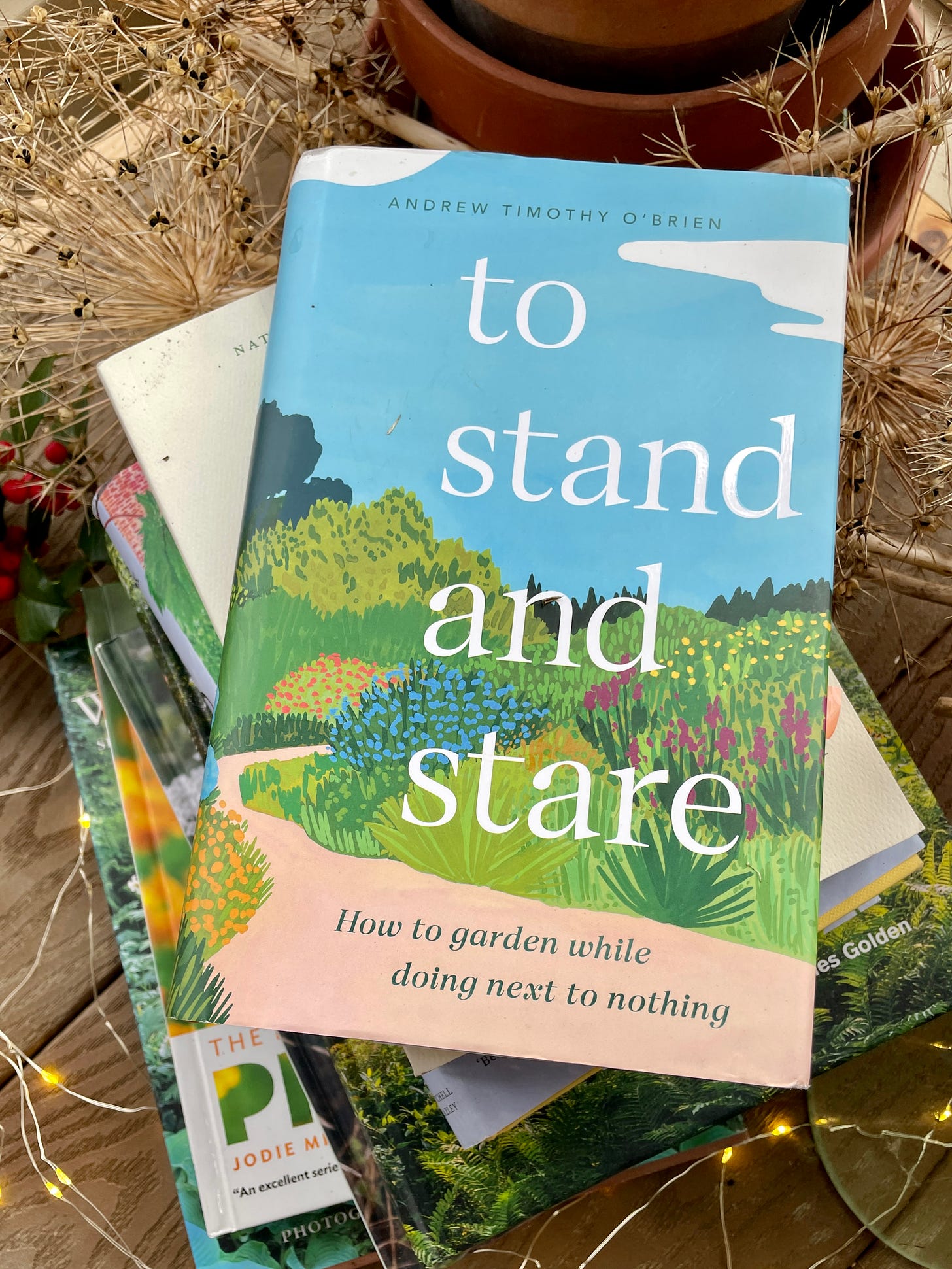 To Stand and Stare: How to garden while doing next to nothing by Andrew Timothy O’Brien