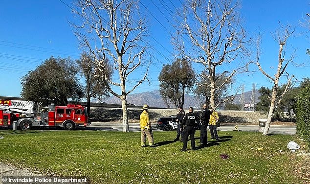 Police and firefighters responded to a small brush blaze near Rivergrade Road and the 605 Freeway on Sunday around 12.30pm