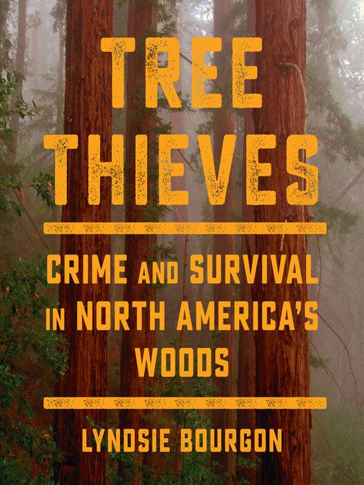 Tree Thieves by Lyndsie Bourgon