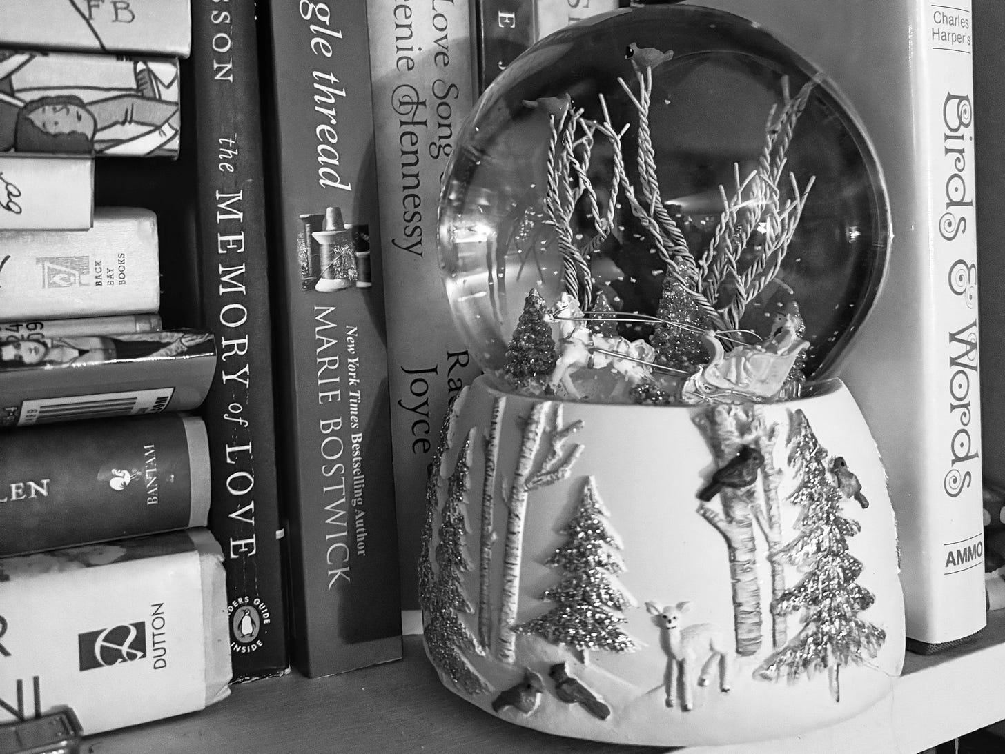 Snow globe on a shelf