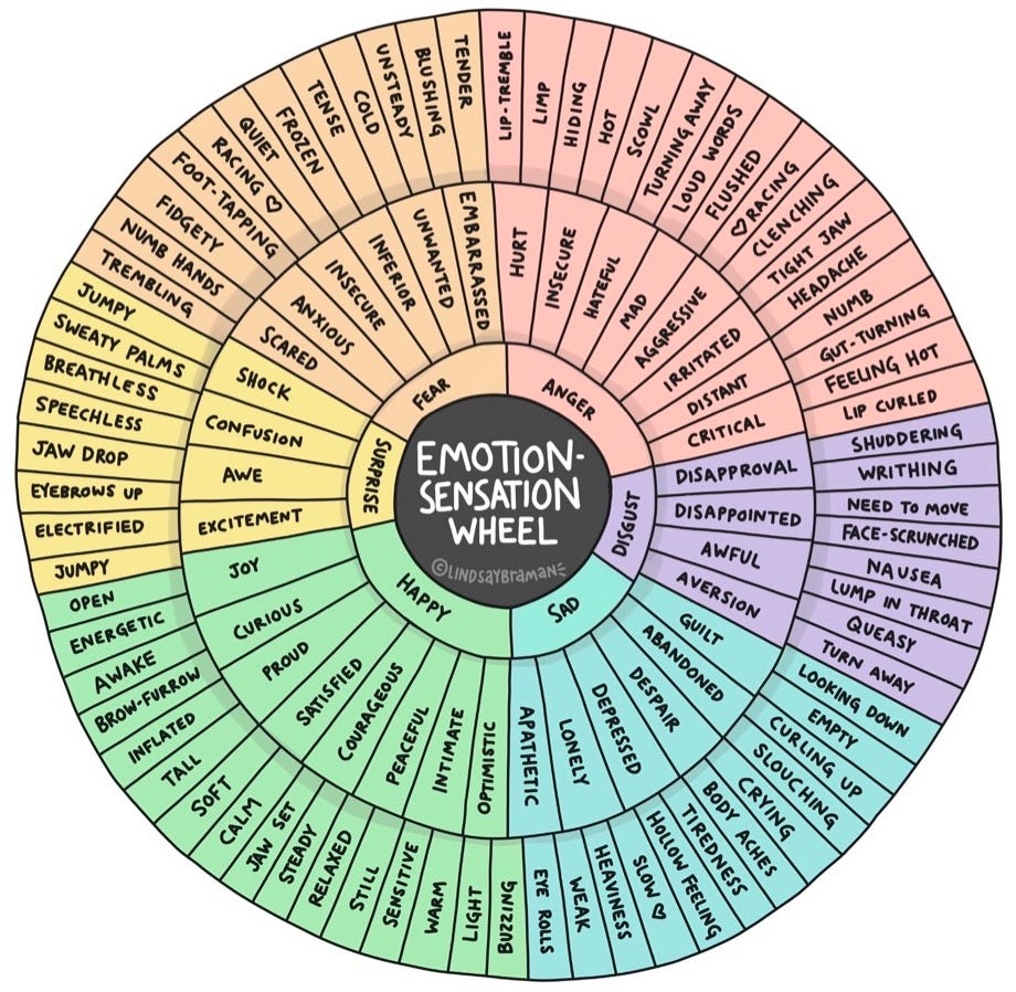 emotion sensation wheel