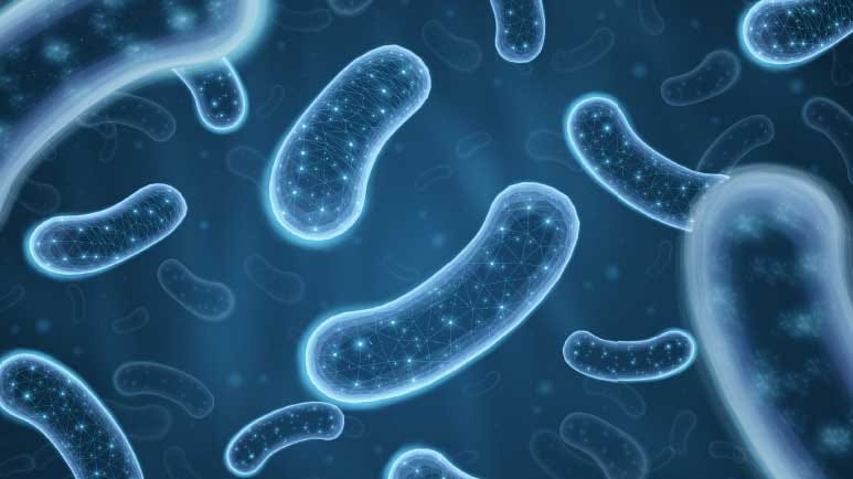 gut microbiome patterns heart attack risk
