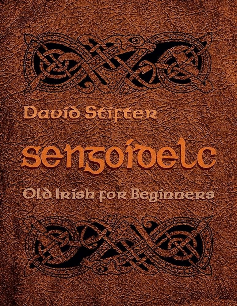 Sengoidelc: Old Irish For Beginners (Irish Studies): 9780815630722:  Stifter, David: Books - Amazon.com