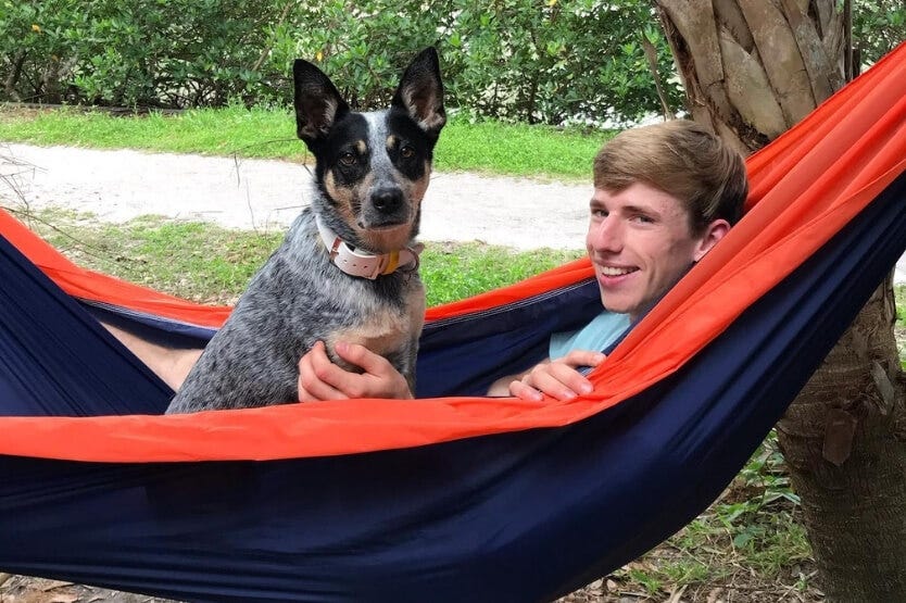 Scout the blue heeler hanging in a hammock at Fort De Soto's dog-friendly campground in Florida