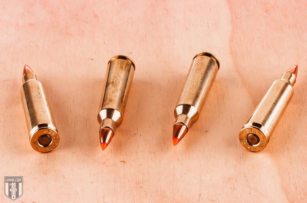 shop 22-250 ammo