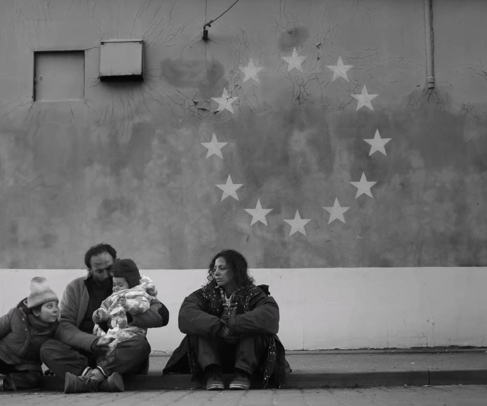 Ilu widzów obejrzy film "Zielona granica" Agnieszki Holland ...
