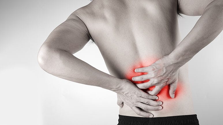 spinal adjustments may reduce lower back pain