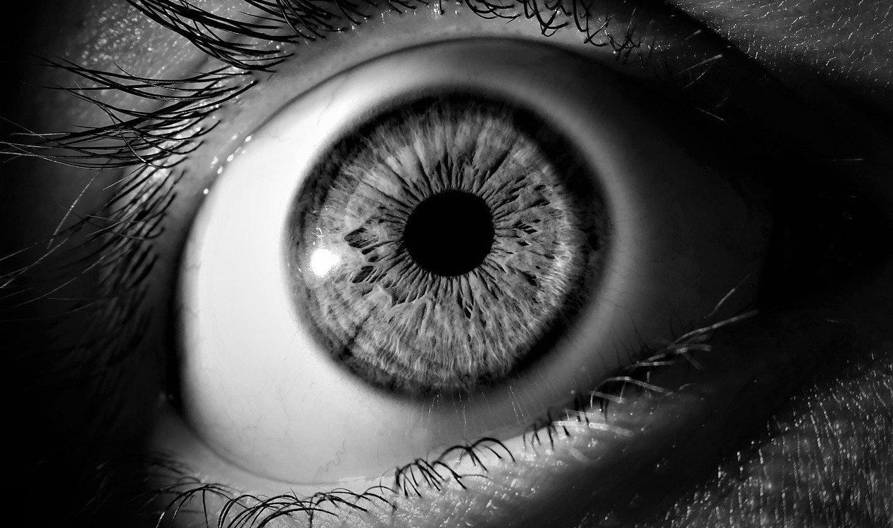 Jamais vu: a ciência por trás do estranho oposto do déjà vu. Jamais vu: a ciência por trás do estranho oposto do déjà vu.