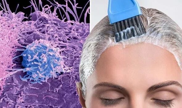 Cancer: Hair dye could increase your risk of various forms of cancer -  expert warns | Express.co.uk