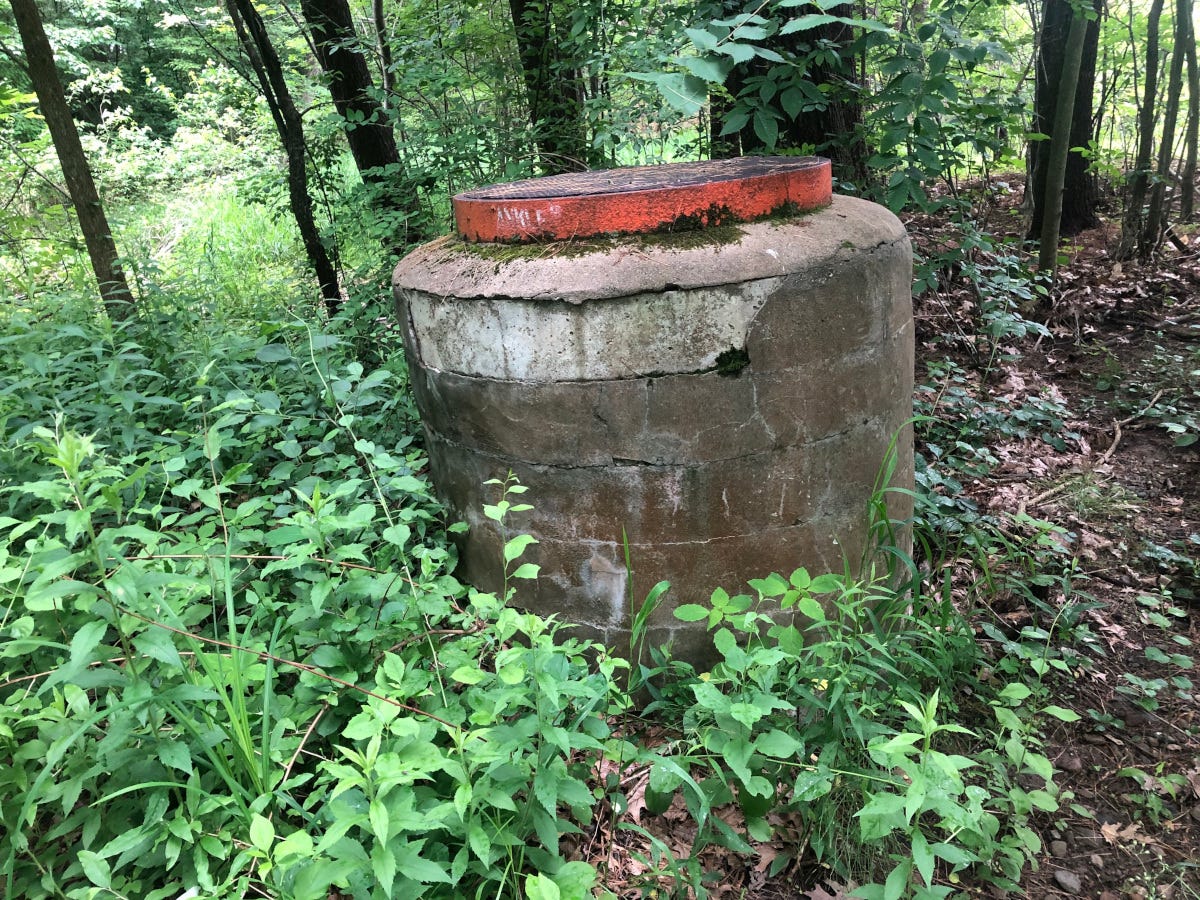 A photo of a sewer access pipe in the middle of the woods