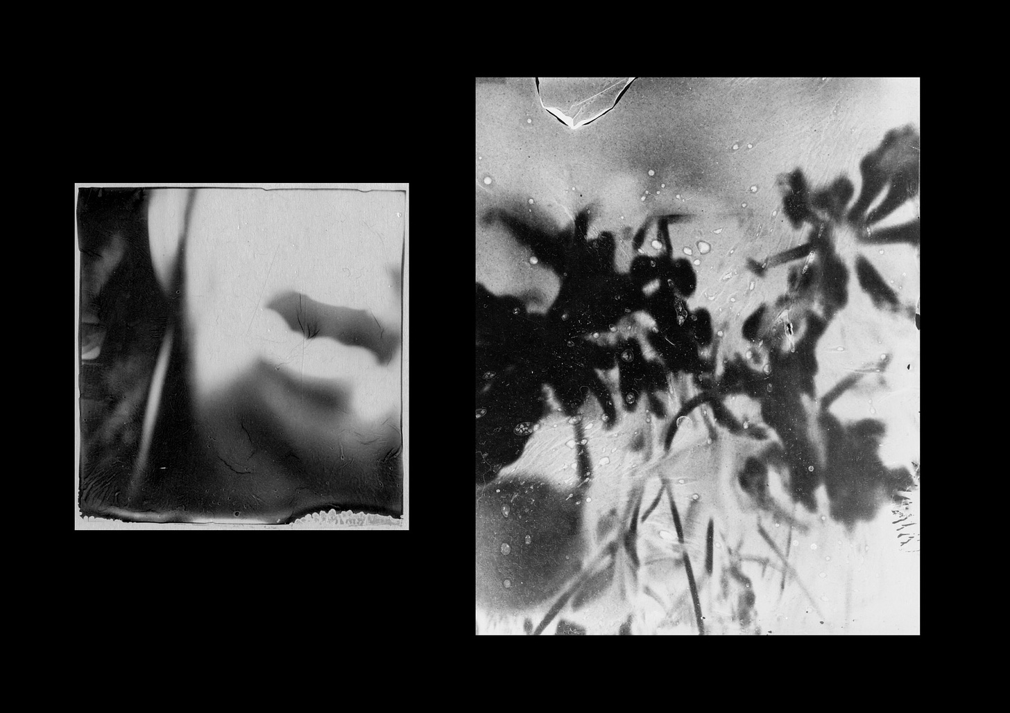 Limerence. Photos by Mabel Ranselli.