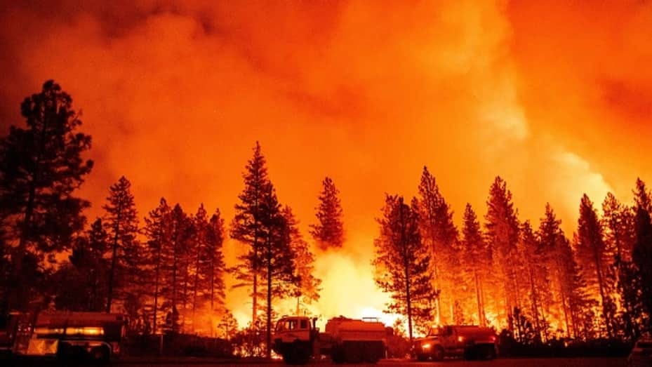 Predicting California wildfire risks: Reinsurance startup Kettle