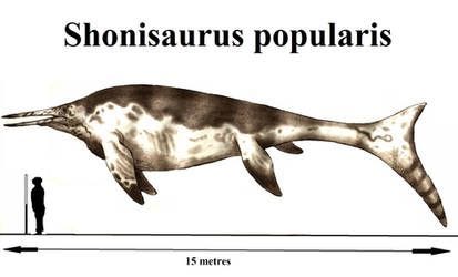 Shonisaurus popularis