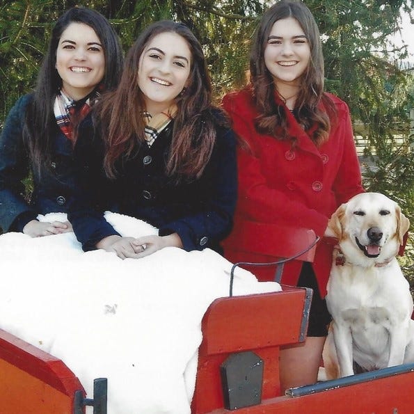 Three teen girls and their yellow Lab pose in a sleigh for their family's annual Christmas card photo