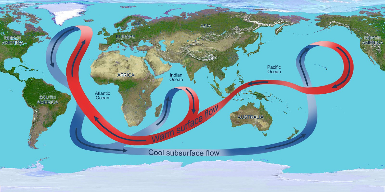 Global Conveyer Belt of Oceanic Currents; #NatureMatters