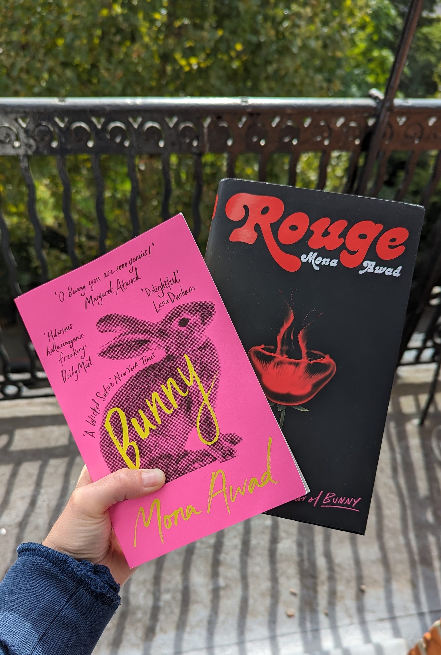 A picture of a pink book cover with a rabbit and a black book cover with a red rose representing Mona Awad's gothic novels, Bunny and Rouge.