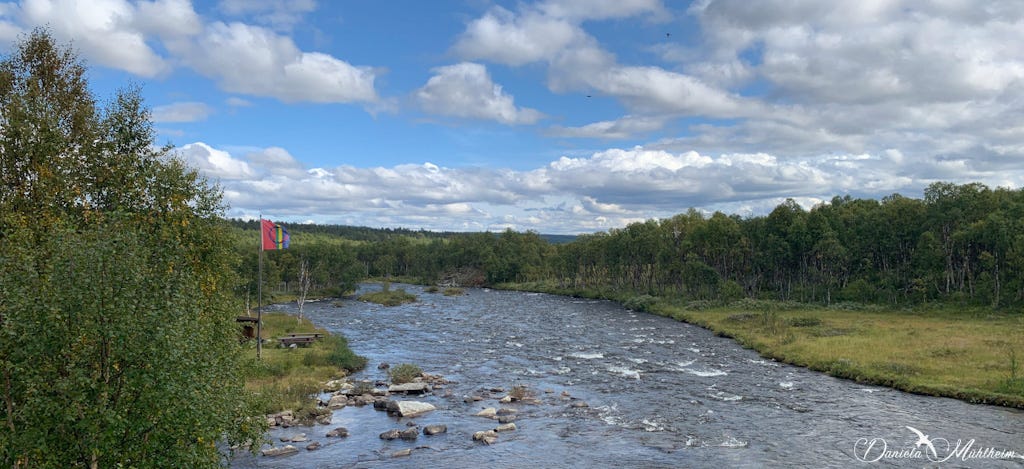 River meandering trough northern landscape flanked by birch trees