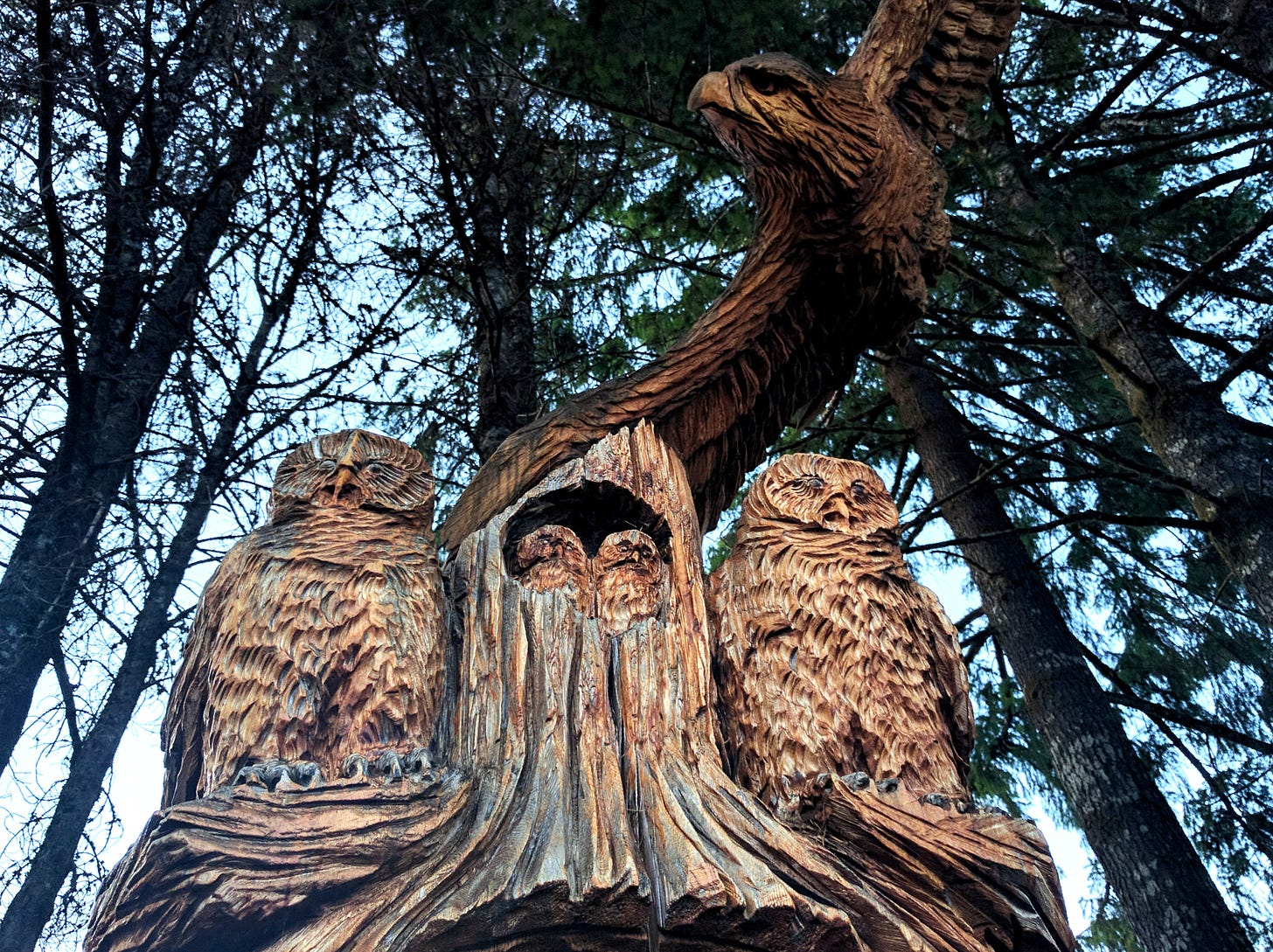 Carved owls and eagle